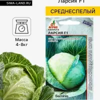 Семена Капуста белокочанная, &laquo;Ларсия&raquo;, F1, 15 шт., Seminis, &laquo;Агрос&raquo;
