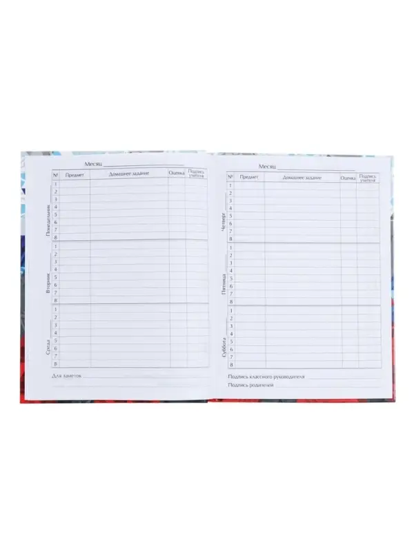 Дневник школьный для 1-11 классов, &laquo;Россия геометрия&raquo;, твёрдая обложка 7БЦ, глянцевая ламинация, 40 листов