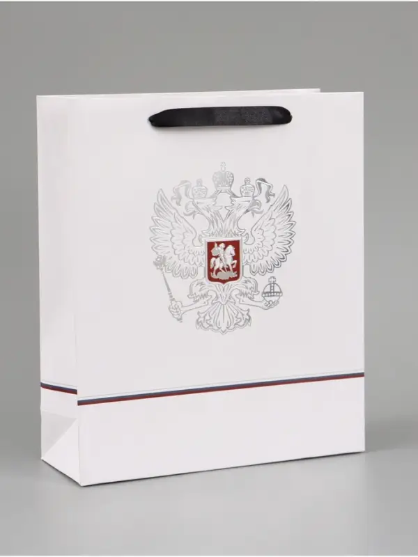 Пакет подарочный &laquo;Россия&raquo;, 25.5&times;30&times;9 см
