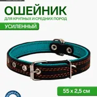 Ошейник кожаный усиленный капроном с полукольцом, 55&times;2.5 см, ОШ 27-53 см, чёрный