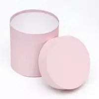 Набор шляпных подарочных коробок 5 в 1 &laquo;Пудра&raquo;,20&times;20&times;20‒13.5&times;13.5&times;13.5 см