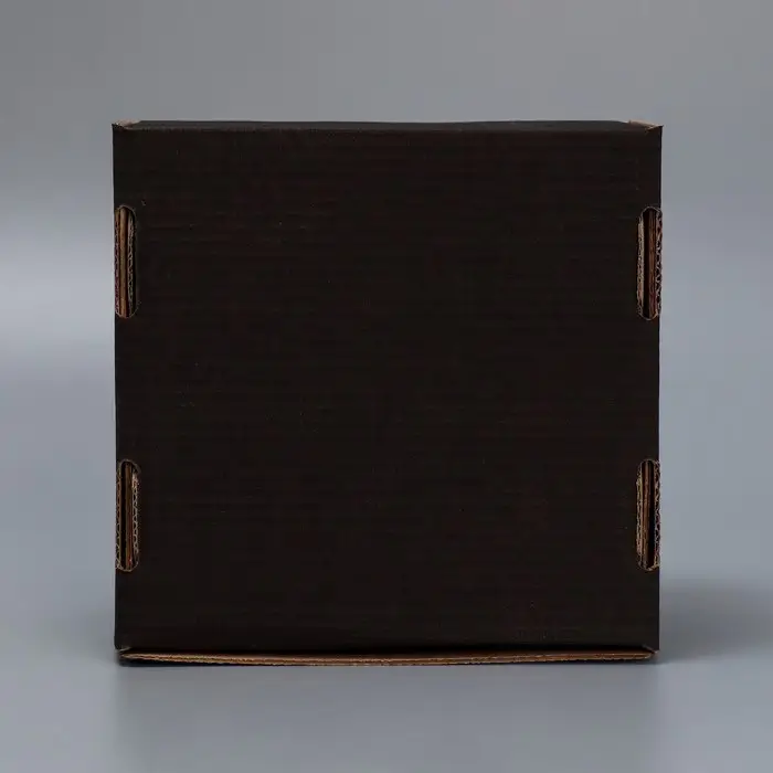 Коробка подарочная сборная с окном, упаковка, «Черный», 16 х 8 х 16 см Коробка подарочная сборная с окном, упаковка, «Черный», 16 х 8 х 16 см