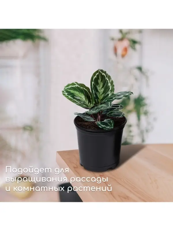 Горшок для рассады, 1 л, d=13 см, h=10.5 см, чёрный, Greengo