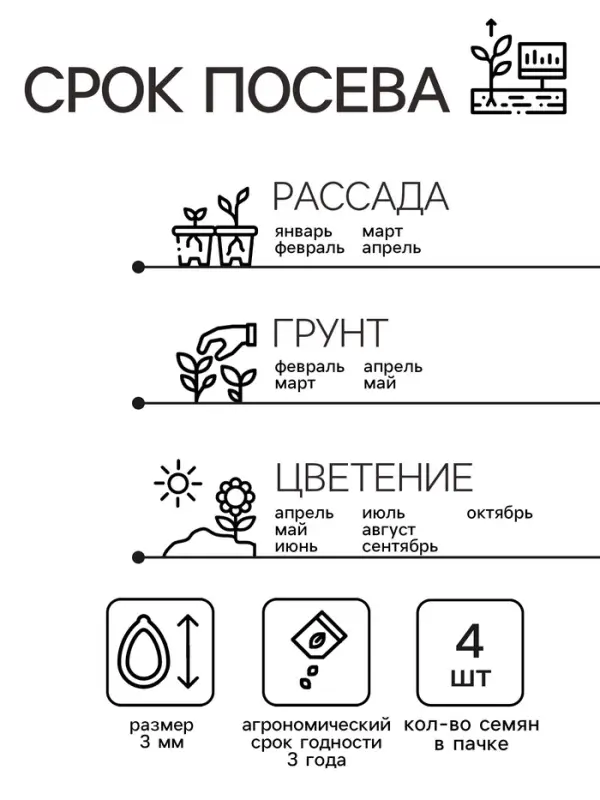 Семена комнатных цветов Пеларгония &laquo;Виолет&raquo;, 4 шт., &laquo;Агроуспех&raquo;
