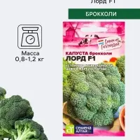 Семена Капуста брокколи &laquo;Лорд&raquo;, F1, 10 шт., &laquo;Семена Алтая&raquo;
