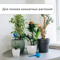 Автополив для комнатных цветов, 380 мл, h=16 см, пластик, МИКС
