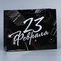 Пакет подарочный ламинированный, упаковка, &laquo;23 февраля&raquo;, MS 23&times;18&times;8 см