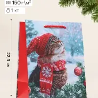 Пакет подарочный &laquo;Котик в красной шапке&raquo;, 18&times;10&times;22.3 см