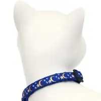 Набор ошейников для кошек &laquo;Ночь&raquo;, 19-32&times;1 см, 2 шт.