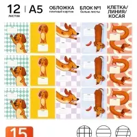 Тетради в клетку, линейку, косую линейку 12 л., набор из 15 шт., блок №1 &laquo;Таксы&raquo;