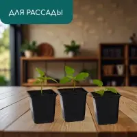 Горшок для рассады, 500 мл, 9&times;9&times;9.5 см, пластик, чёрный