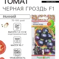 Семена Томат &laquo;Чёрная гроздь&raquo; F1, индетерминантный, высокорослый, 10 шт., &laquo;Русский огород&raquo;