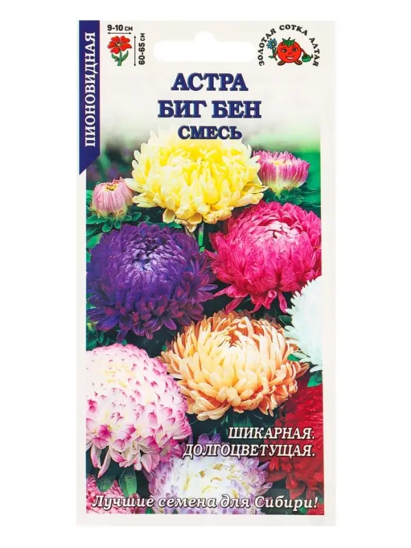 Семена Астра Биг Бен смесь /Сотка/ 0,2г/ пион. h-65см, d-10см/*1500 Семена Астра Биг Бен смесь /Сотка/ 0,2г/ пион. h-65см, d-10см/*1500