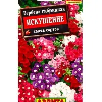Семена Цветов Вербена "Искушение", смесь сортов, ц/п, 0,1 г