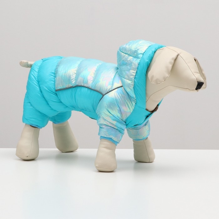 Комбинезон Комбинезон "Эфир", размер 10 (ДС 25, ОГ 34, ОШ 24 см), голубой