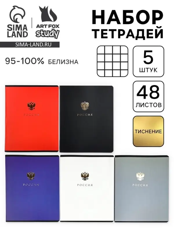 Тетради в клетку, 48 л., набор из 5 шт., блок №1 &laquo;Патриотизм&raquo;