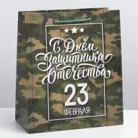Пакет подарочный ламинированный, упаковка, &laquo;С 23 февраля&raquo;, ML 27&times;23&times;11.5 см