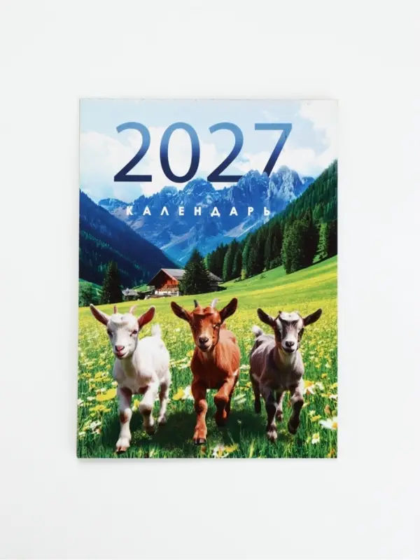 Календарь 2027, отрывной на магните &laquo;Фоторелистичный 2027&raquo; 9.5&times;13 см