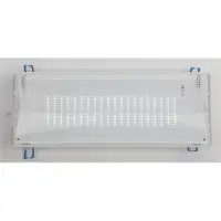 Светильник аварийный DPA-301-1-65 постоянный 40LED 3ч IP65 NiCD