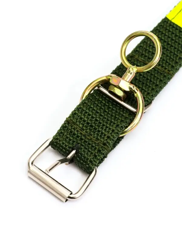 Ошейник двухслойный с вертлюгом, 2.5 см, зелёный