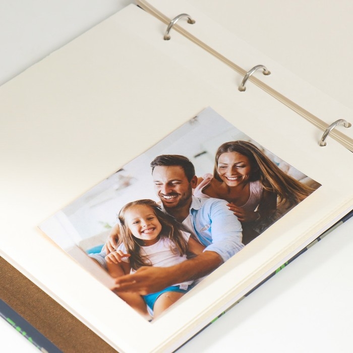 Фотоальбом на кольцах на 200 фото 6х9 см Фотоальбом на кольцах на 200 фото 6х9 см "Коалы на деревьях" 3х22,7х23,5 см