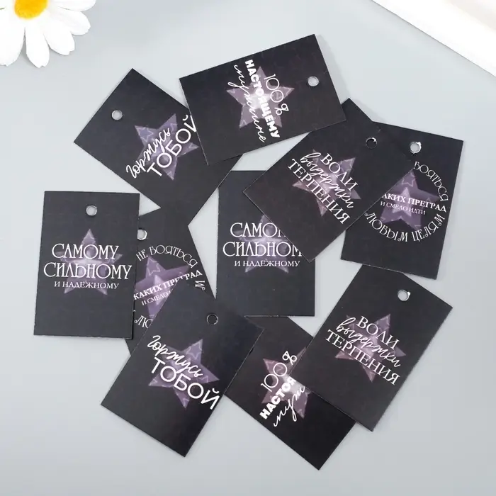 Набор бирок для подарков, цветов «Настоящему мужчине», 10 шт. (5 видов), 4×6 см, картон, МИКС