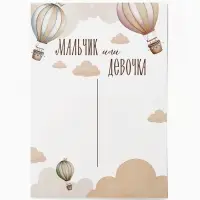 Плакат &laquo;Мальчик или девочка&raquo; с наклейками