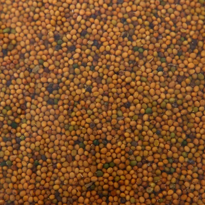 Семена Горчица, Мой Выбор, 3 кг