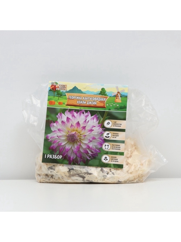 Георгина Кактусовидная HAYLEY JANE, клубелуковица в упаковке, р-р I, 1 шт.
