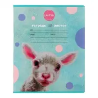 Тетрадь 12 листов в клетку Calligrata, &laquo;Узнай себя!&raquo;, обложка мелованный картон, МИКС