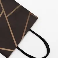 Пакет крафт под бутылку «Геометрия», 14×8×32 см