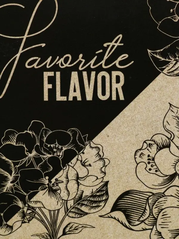 Ланч - бокс прямоугольный Favorite flavor, 500 мл