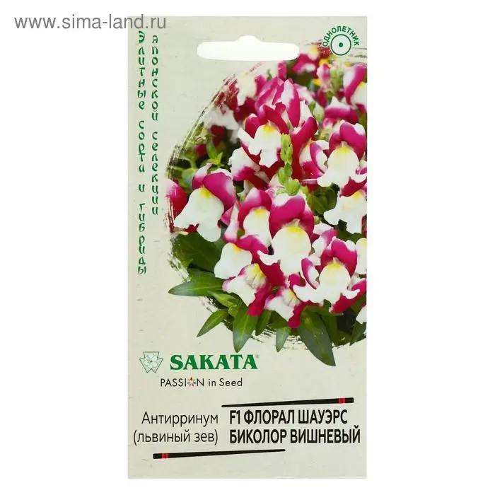 Семена цветов Антирринум (Львиный зев) Семена цветов Антирринум (Львиный зев) "Флорал Шауэрс Биколор", ц/п, вишневый, 7 шт
