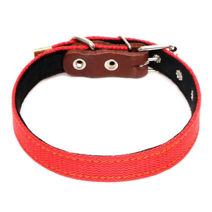 Ошейник брезентовый с подкладом, 57 х 2,5 см, ОШ 35-45 см, красный Ошейник брезентовый с подкладом, 57 х 2,5 см, ОШ 35-45 см, красный