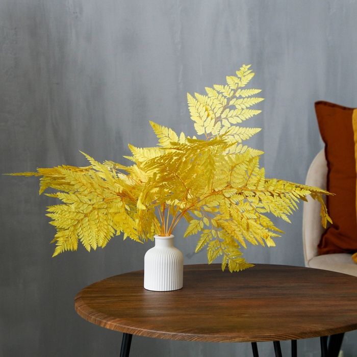 Сухоцвет «Папоротник», жёлтый, 10 шт. в упаковке Сухоцвет «Папоротник», жёлтый, 10 шт. в упаковке