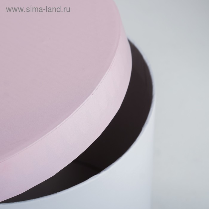 Набор коробок 3 в 1, упаковка подарочная, «Котики», 14 х 14 х 13 - 18 х 18 х 15 см