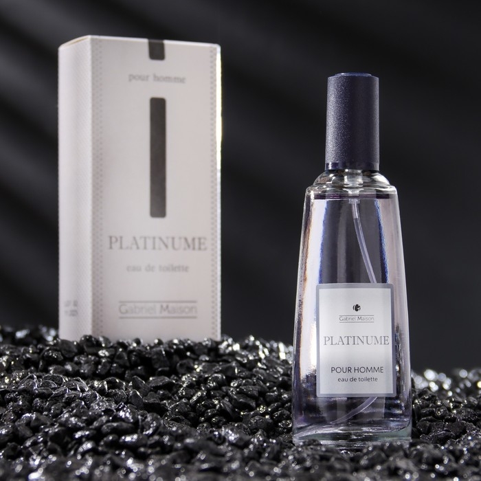 Туалетная вода мужская GABRIEL MAISON Туалетная вода мужская GABRIEL MAISON "Platinume", 50 мл