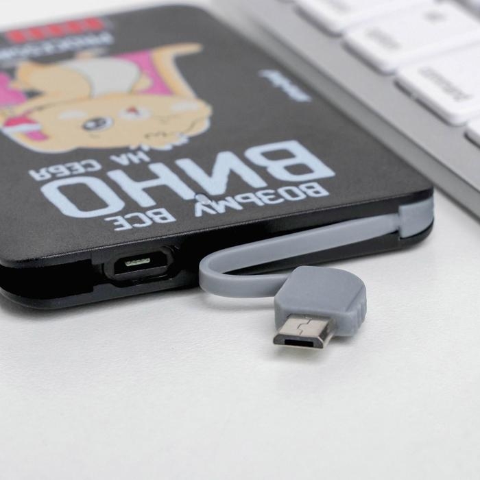 Зарядное устройство &laquo;Возьму все вино на себя&raquo;, 2500 mAh, 6 х 9,5 см