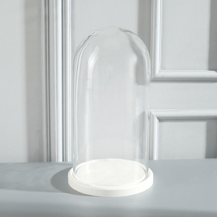 Стеклянный купол-клош на деревянной подставке Стеклянный купол-клош на деревянной подставке "Венсан - 1", 30х15 см, белый