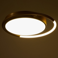 Люстра с ПДУ 2219/1 LED 110Вт диммер золото 48х48х7 см BayerLux