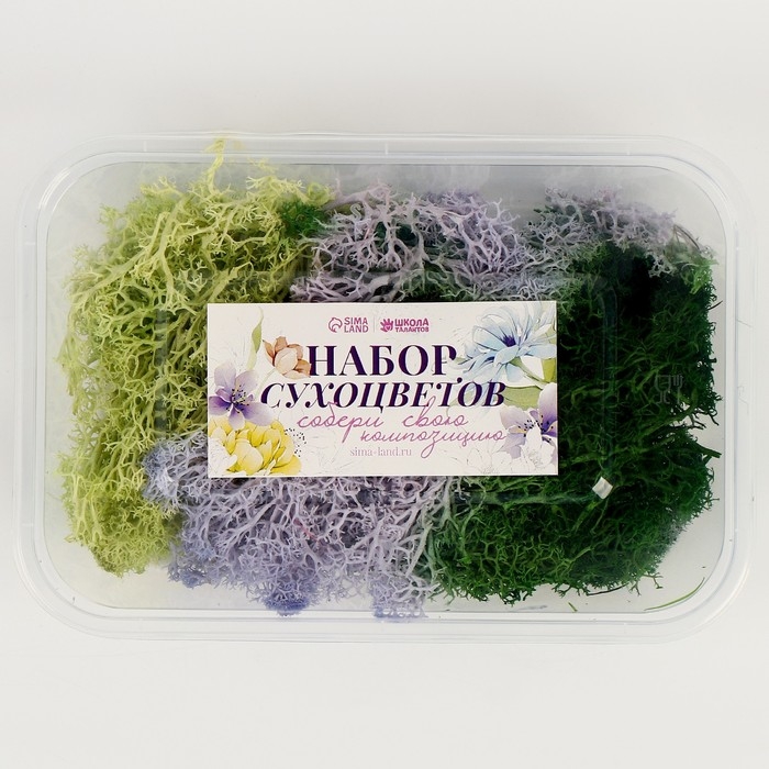 Набор сухоцветов «Мох», цвет МИКС Набор сухоцветов «Мох», цвет МИКС