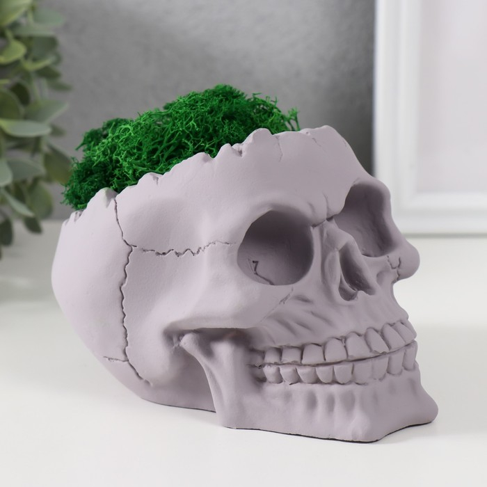 Кашпо бетонное Кашпо бетонное "Череп" высота 10 см серое со мхом (мох зеленый стабилизированный)