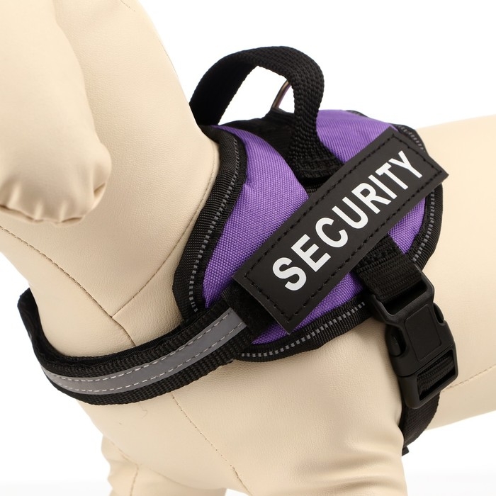 Шлейка К9 мягкая светоотражающая, размер ХS, ОГ 38-50 см, вес 3-6 кг, фиолетовая Шлейка К9 мягкая светоотражающая, размер ХS, ОГ 38-50 см, вес 3-6 кг, фиолетовая