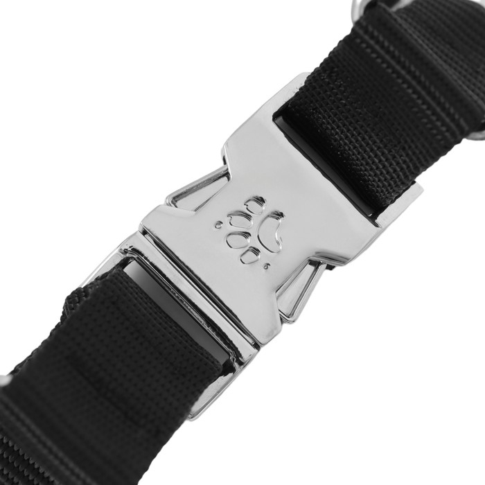 Ошейник строгий с металлическим фастексом и защитными колпачками, 63 см, толщина проволоки 4 Ошейник строгий с металлическим фастексом и защитными колпачками, 63 см, толщина проволоки 4