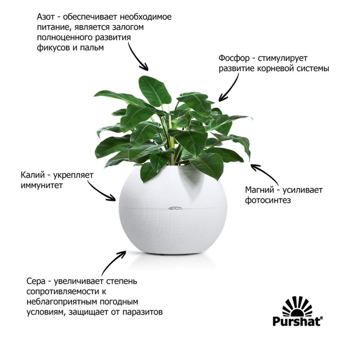 Пуршат-М концентрат для фикусов и пальм, 50мл Пуршат-М концентрат для фикусов и пальм, 50мл