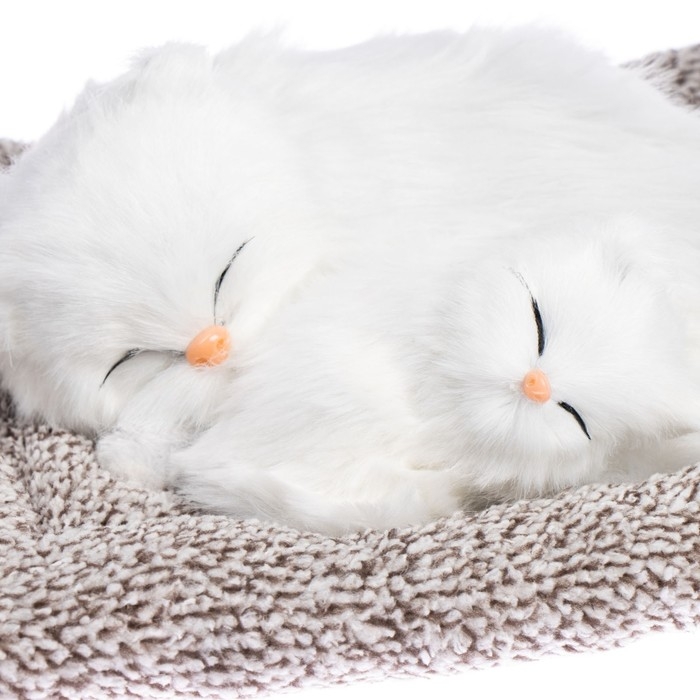 Игрушка на панель авто, кошечки на подушке, белый окрас Игрушка на панель авто, кошечки на подушке, белый окрас