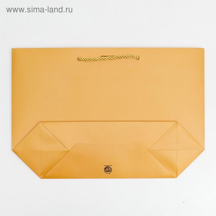 Пакет подарочный, упаковка, Present for you, 26 х 25 х 11 см