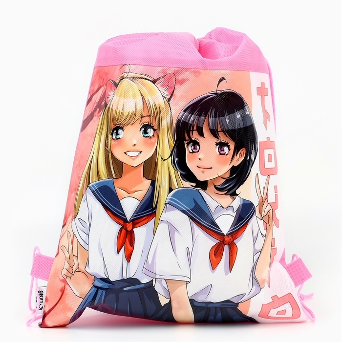 Мешок для обуви «Школьницы» полиэстер, размер 30 х 40 см Мешок для обуви «Школьницы» полиэстер, размер 30 х 40 см