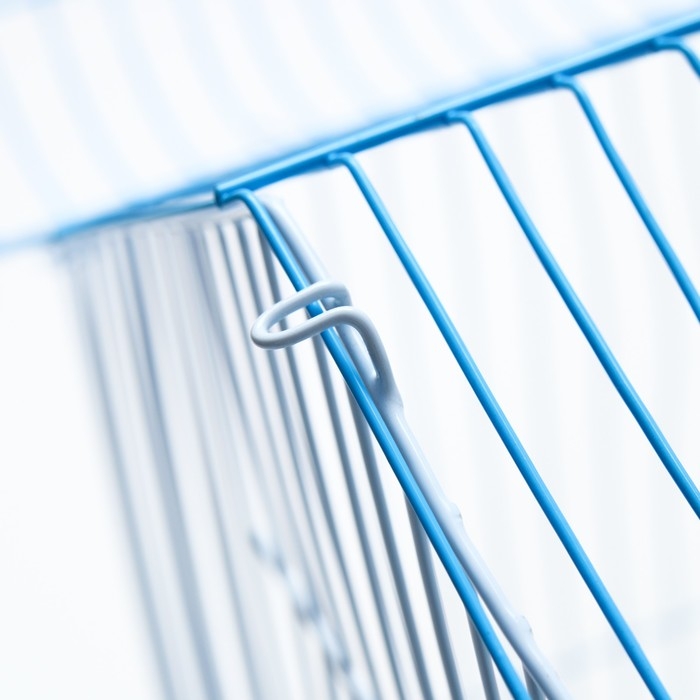 Клетка для птиц укомплектованная Bd-1/1d, 30 х 23 х 39 см, голубая Клетка для птиц укомплектованная Bd-1/1d, 30 х 23 х 39 см, голубая