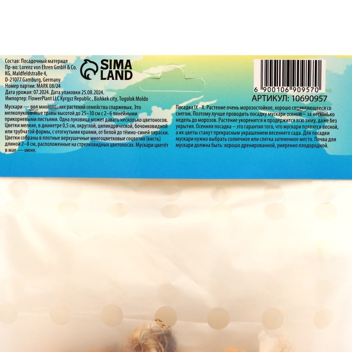 Мускари Сибериан Тайгер, р-р 7/8, 10 шт, Осень 2024 Мускари Сибериан Тайгер, р-р 7/8, 10 шт, Осень 2024